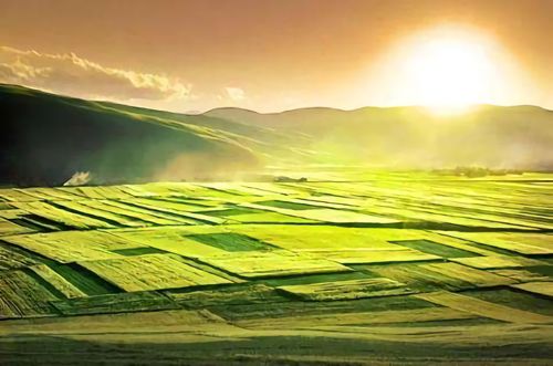 土壤墑情監測系統