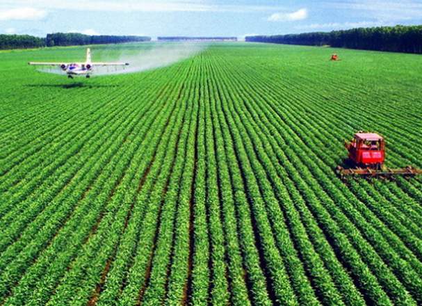 土壤水分測試儀